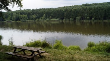 Piknik nad jeziorem